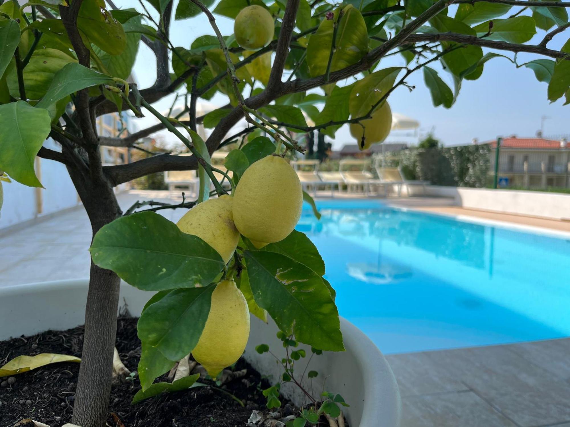 Hotel Renata Lazise Exteriér fotografie